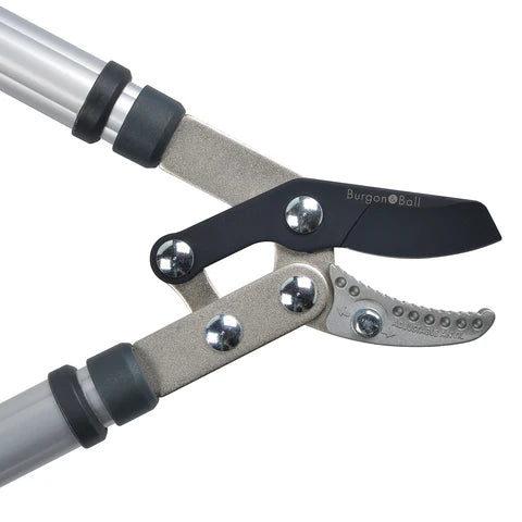 RHS Telescopic Handled Anvil Lopper