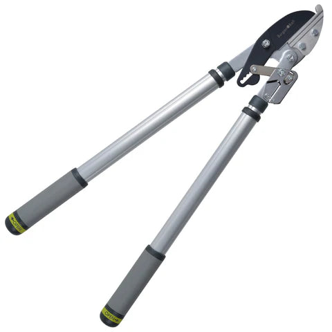 RHS Telescopic Handled Ratchet Lopper