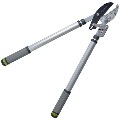 RHS Telescopic Handled Ratchet Lopper