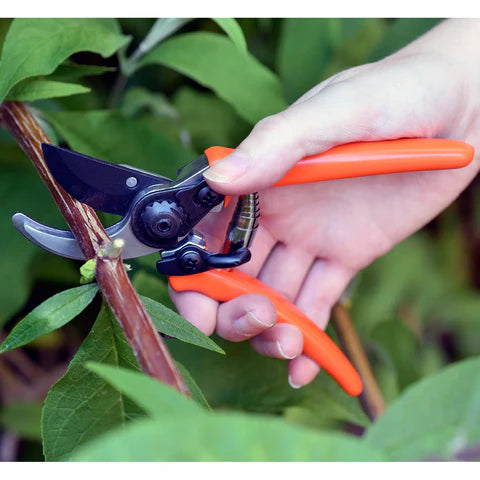 RHS Micro Secateurs - Terracotta
