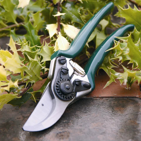 RHS Professional Bypass Secateur