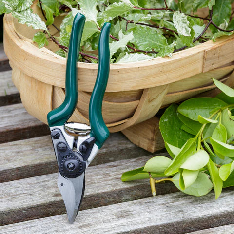 RHS Professional Compact Bypass Secateur