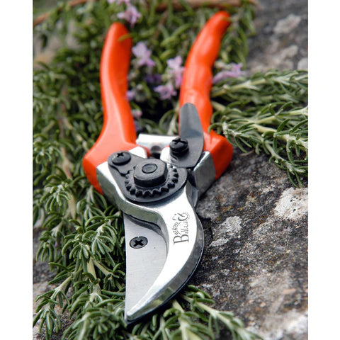 RHS Bypass Secateur (with replacement blade and spare spring)