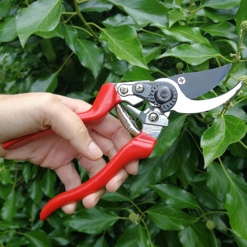 RHS Left-handed Bypass Secateur