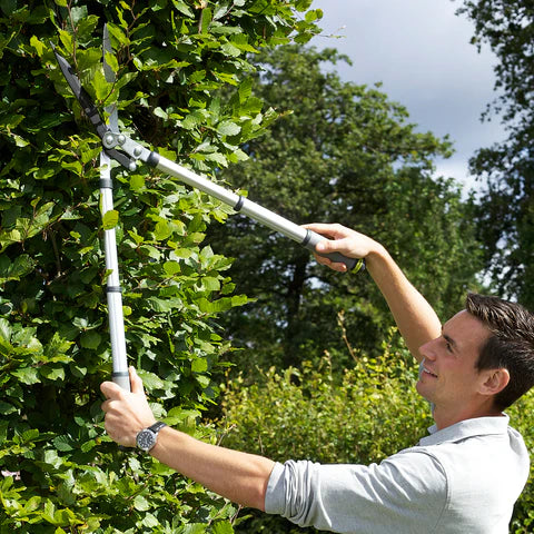 RHS Telescopic Handled Wavy Edged Hedge Shear
