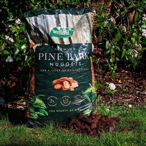 Premium Pine Nuggets