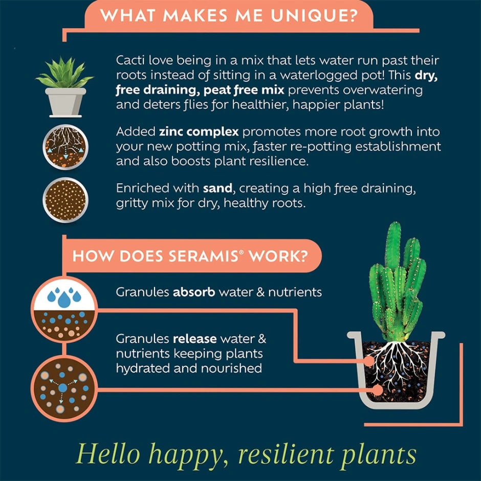 Cacti Potting Mix 4L