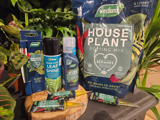 Houseplant Care Bundle