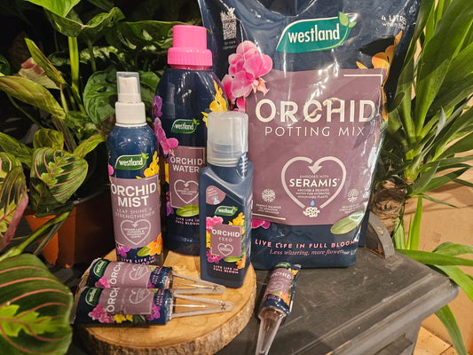 Orchid Care Bundle