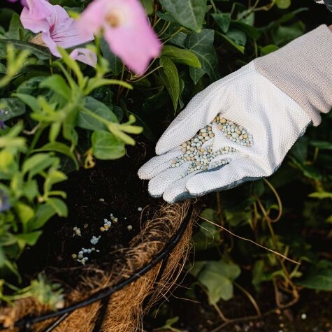 Westland Boost Slow Release Plant Food 750g