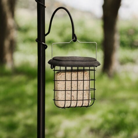 GM Peanut Suet Feast