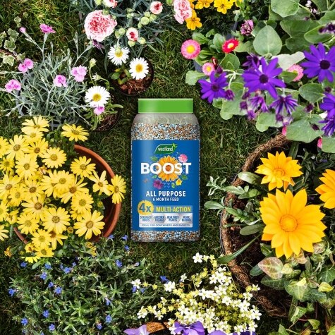 Westland Boost Slow Release Plant Food 750g