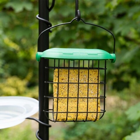 GM Flip Top Suet Feast Feeder