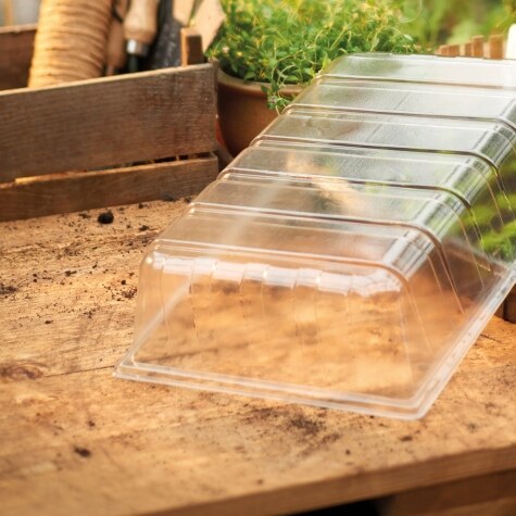 Standard Seed Tray Lid
