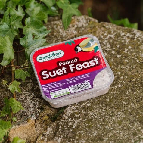 GM Peanut Suet Feast