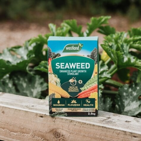 Westland Seaweed Enhanced 2.5kg