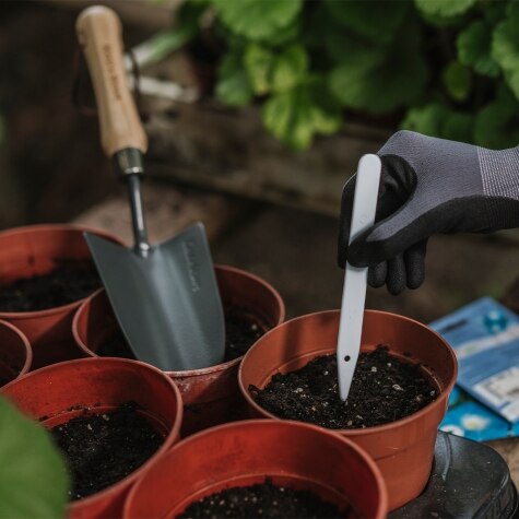 GM Plant Labels 15cm (6") 50pk