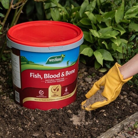 FISH, Blood & Bone 8kg Tub