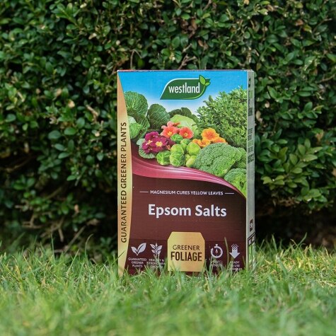 Epsom salts 1.5kg