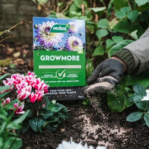Growmore  4kg