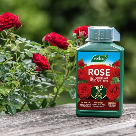 Westland Rose Specialist Liquid Feed 1L