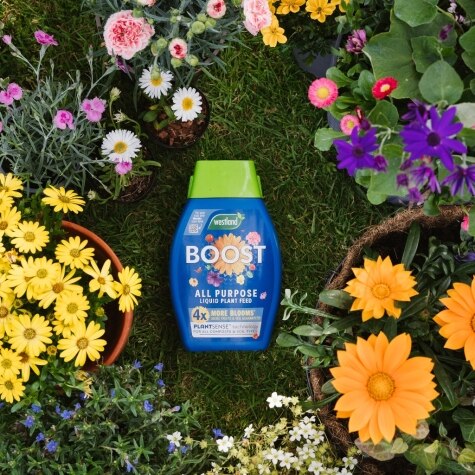 Westland Boost All Purpose Liquid Plant Food 1L
