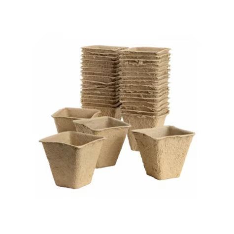 Gro-Sure Fibre Pots Square 6cm 80pk