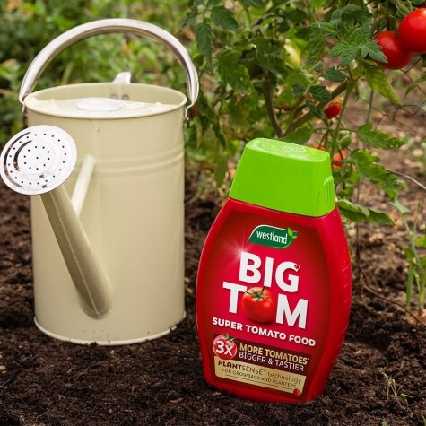 Westland Big Tom Tomato Food 1L