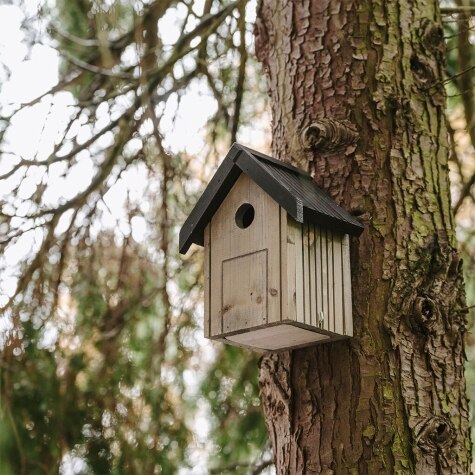 PK Garden Nest Box