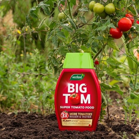 Westland Big Tom Tomato Food 1L