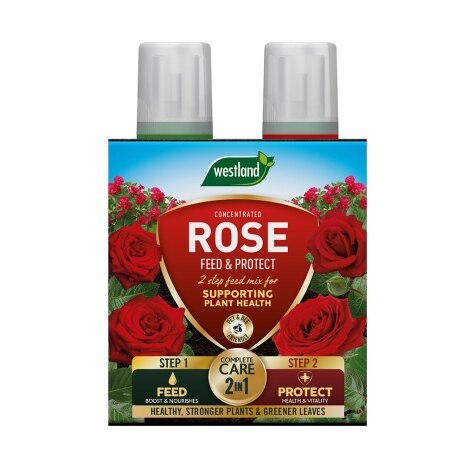 Westland 2 in1 Feed and Protect Rose 2 x 500ml
