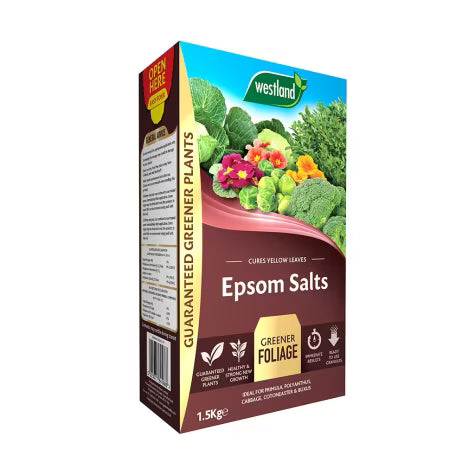 Epsom salts 1.5kg