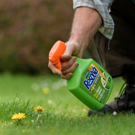 Resolva Lawn Weedkiller Extra Ready to UIse 1L RTU