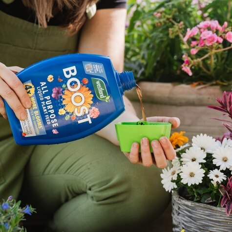Westland Boost All Purpose Liquid Plant Food 1L
