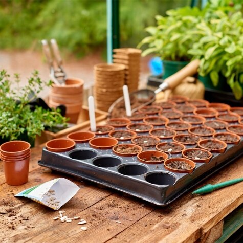 Seed and Cutting Tray 40 Pot