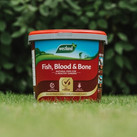 FISH, Blood & Bone 8kg Tub