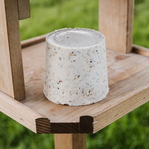 GM Seed & Mealworm Topper