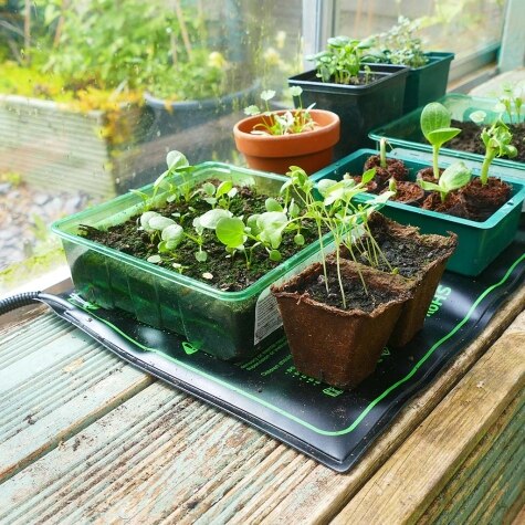 Gro-Sure Heated Propagation Mat