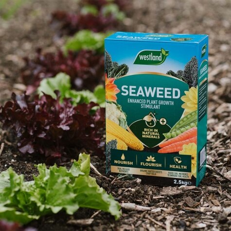 Westland Seaweed Enhanced 2.5kg
