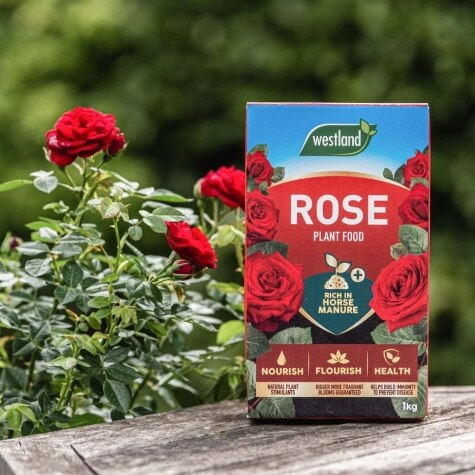 Rose Food Enriched Horse Manure 3kg