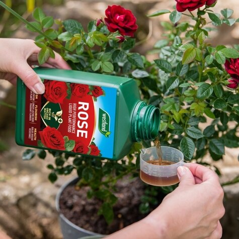 Westland Rose Specialist Liquid Feed 1L