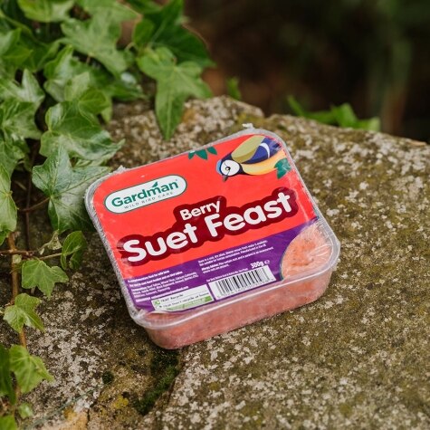 GM Suet Feast 3 Pack
