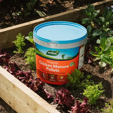 Organic Chicken Manure Pellets 8kg Tub