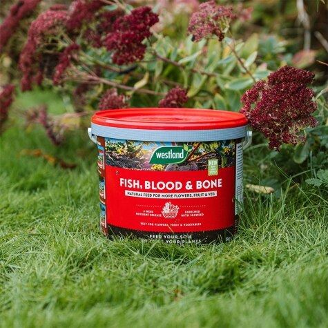 Bone Meal 8kg Tub