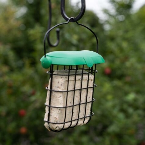 GM Flip Top Suet Feast Feeder