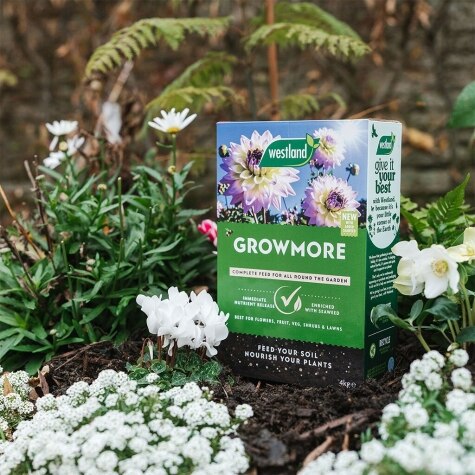 Growmore  4kg