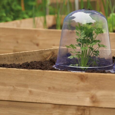 GI Bell Cloche 3pk (26cm)