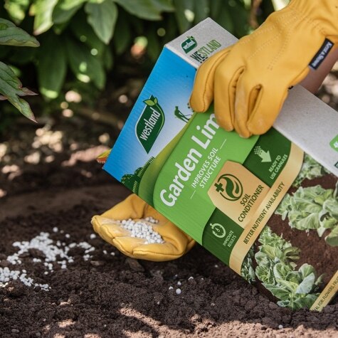 Garden Lime 4kg