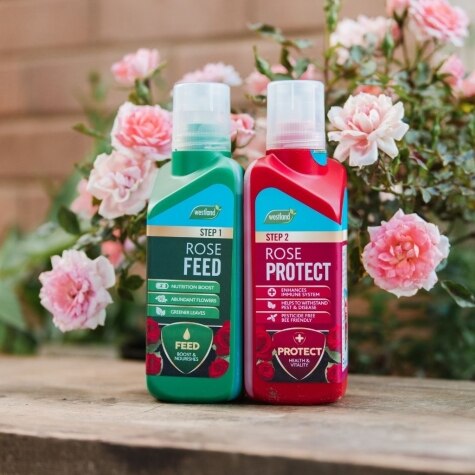 Westland 2 in1 Feed and Protect Rose 2 x 500ml
