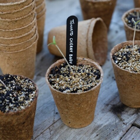 Gro-Sure Fibre Pots Round 6cm 96pk